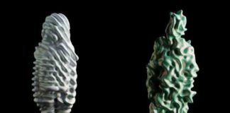 работы арт-проекта TRANS Sculptures