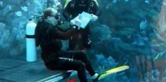 Художник под водой