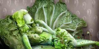 Ju_Duoqi_vegetables_1