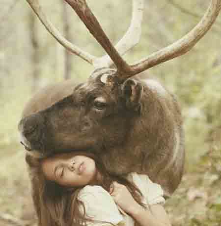 katerina-plotnikova-deer