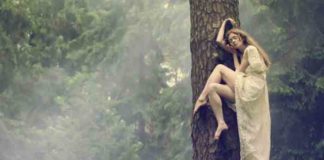katerina-plotnikova-on-tree