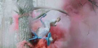 katerina-plotnikova-tea-on-tree