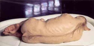 Патрисия Пиччинини-9