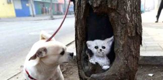 Wang_Yue_01