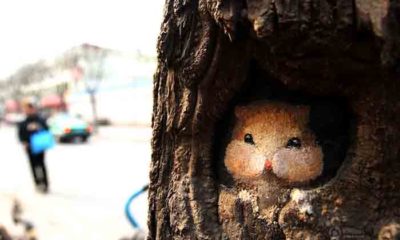 Wang_Yue_05