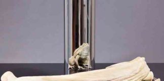 анаморфные скульптуры-5