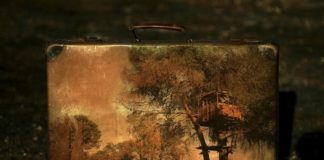 Memory Suitcases_1