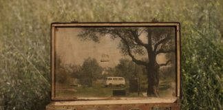 Memory Suitcases_4