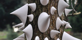 Наталия Диас.  Thorn Tree