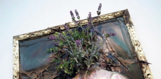 Valerie Hegarty