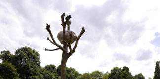 Giuseppe Penone, "Idee di Pietra (Ideas of Stone)", Karlsaue Par