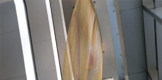 Ball Nogues Euphony_8