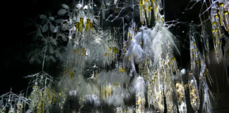 Филип Бизли Radiant Soil_11
