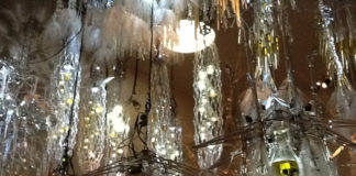 Филип Бизли Radiant Soil_8