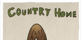 Yoshitomo Nara. Country Hom