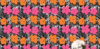 Flavor_Paper_Andy_Warhol_3