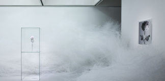 tokujin-yoshioka-crystalizes-swan-lake-and-rose