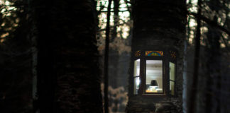 Даниель Баррето. Woodhouses 1