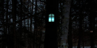 Даниель Баррето. Woodhouses 3