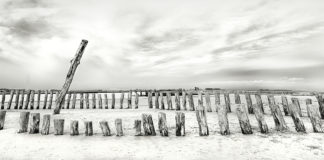 © Sinan Dinis, Portugal, Entry, Open Panoramic, 2014 Sony World