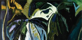 Pelican (Stag)