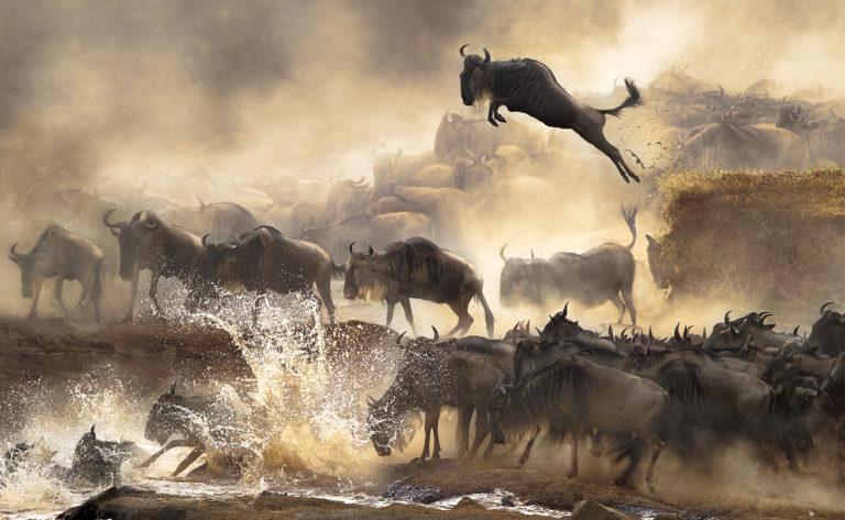 Jump of Life