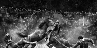  NgaiBunWonh_China_Shortlist_Open_Artsculture_