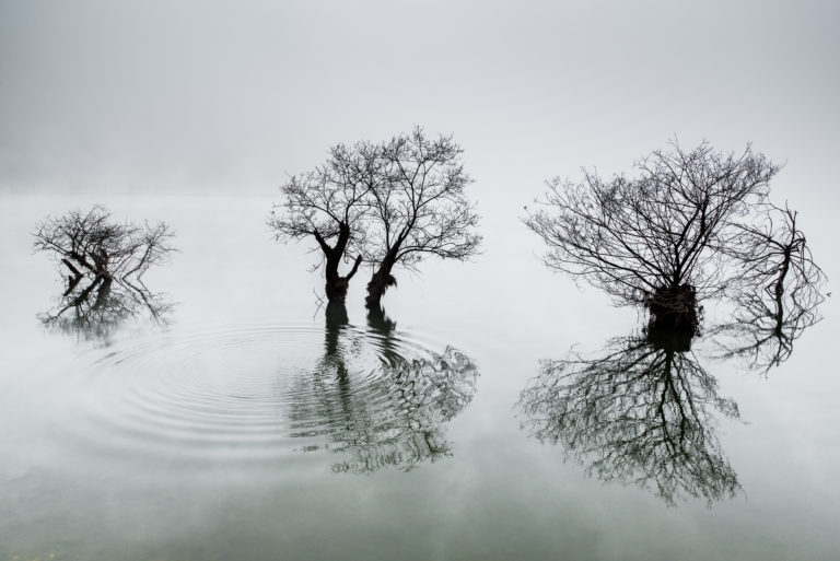 Dowon-Choi_Korea_1st-place_Korea-National-Award_2014