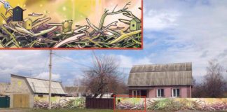 заборы в селе под киевом_3