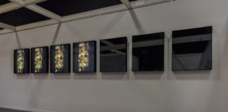 820455-ohanian-m-fiac-prix-md-2015-2