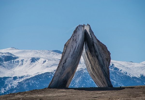 Ensamble Studio (Antón García-Abril and Débora Mesa), Inverted Portal (2015)