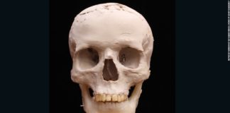 9500-летний череп получил 3D макияж 3