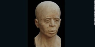 9500-летний череп получил 3D макияж 4