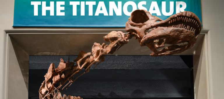 Tyrannosaurus Bataar