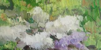 unnamed (4)