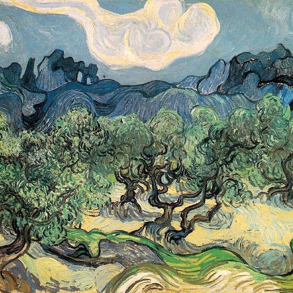736px-Vincent_van_Gogh_1853-1890_-_The_Olive_Trees_1889