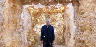 Anish Kapoor