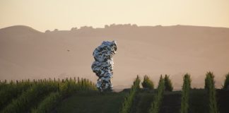 Donum-Zhan-Wang-Artificial-Rock-No126-2007-13-Robert-Berg-01