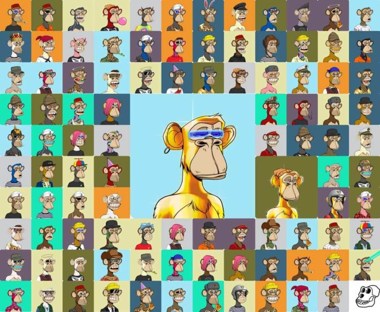 Bored Apes NFT Collage